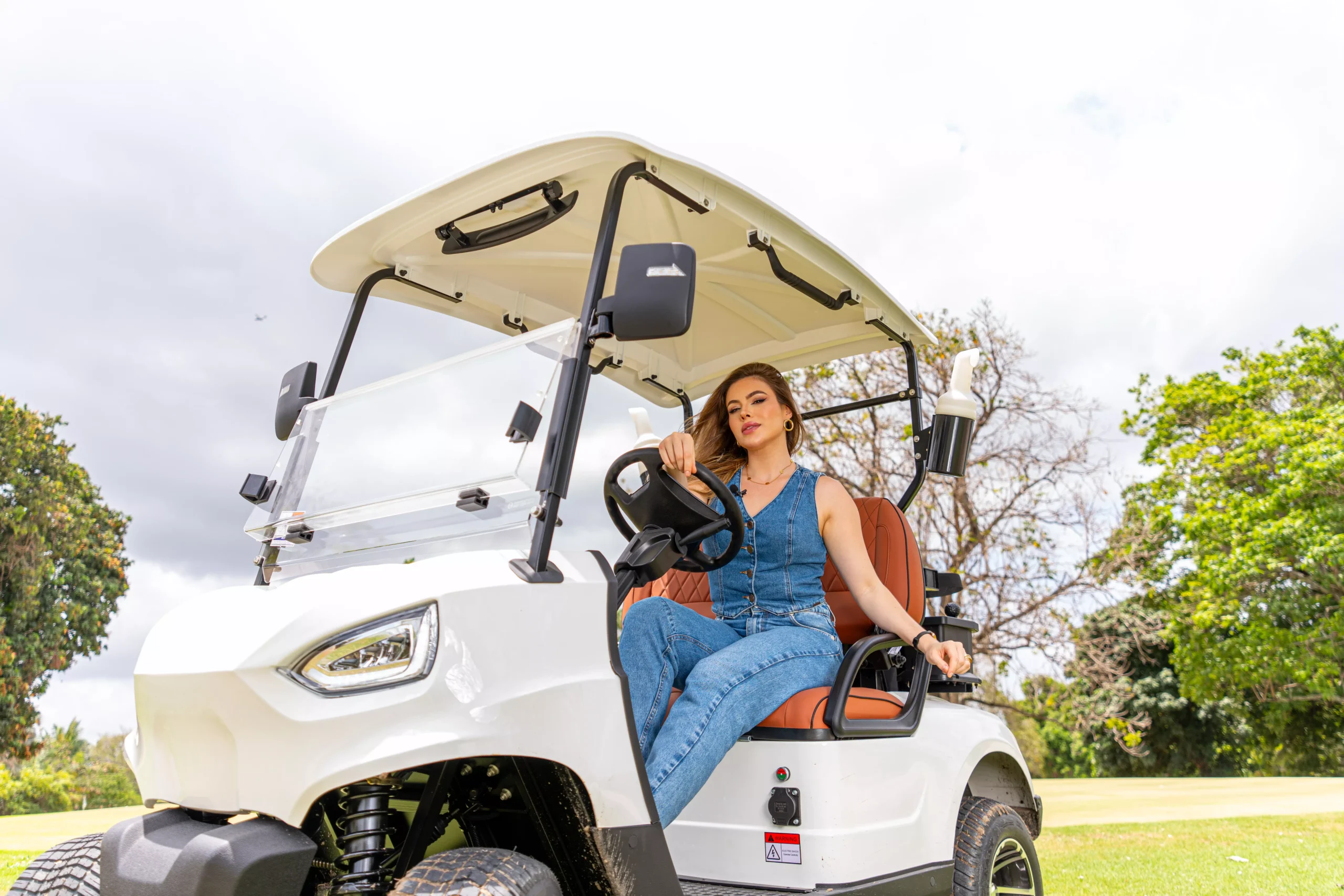 CGE2 GOLF - Imagem 4