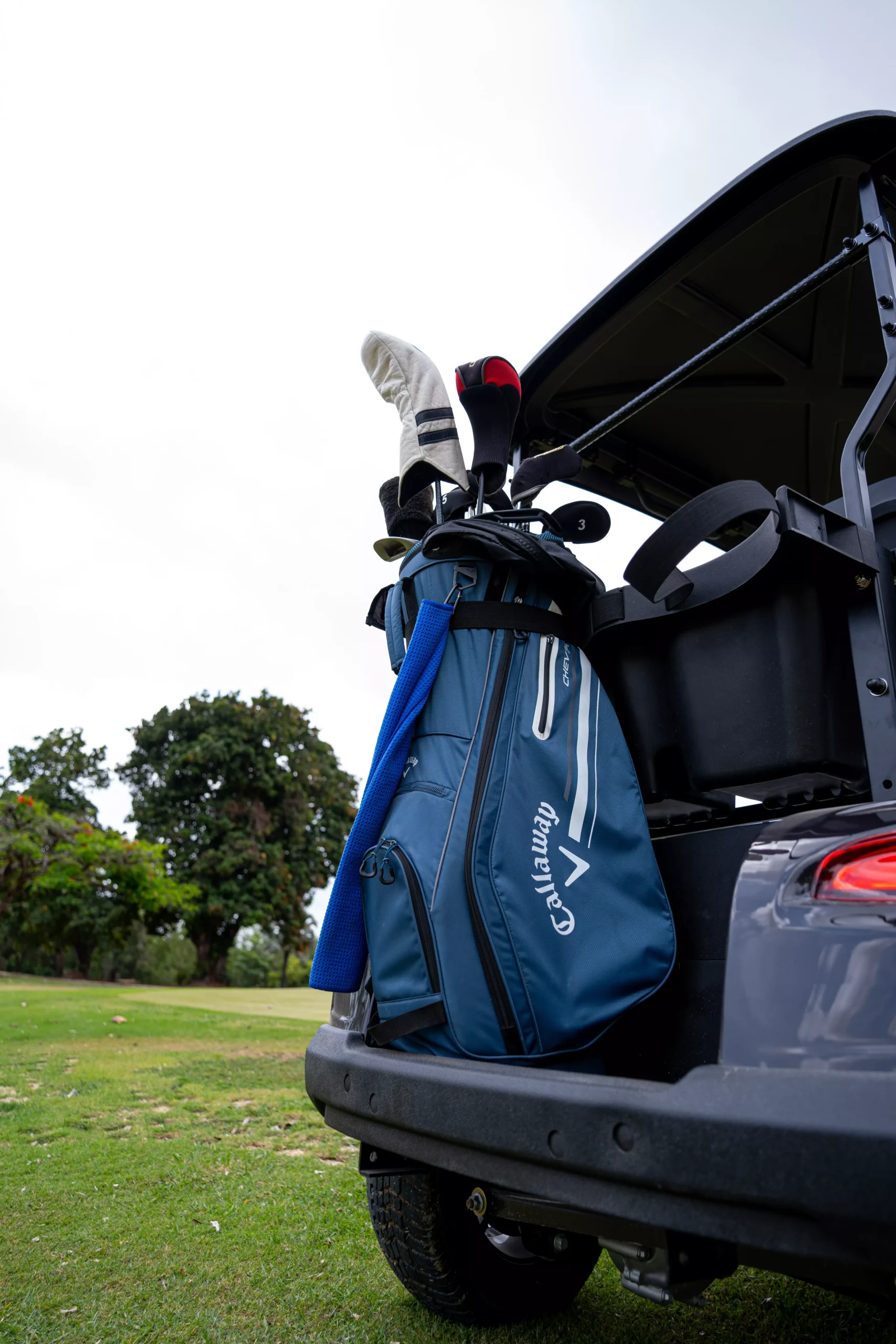 CGE2 GOLF - Imagem 6